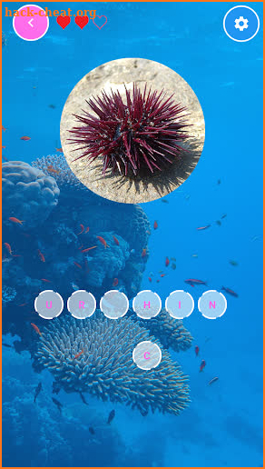 Sea Animals Letter screenshot