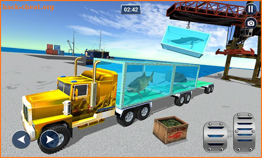 Sea Animals Transport Free 2019 screenshot