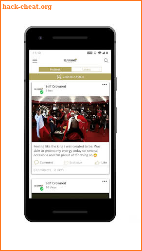 SelfCrowned screenshot