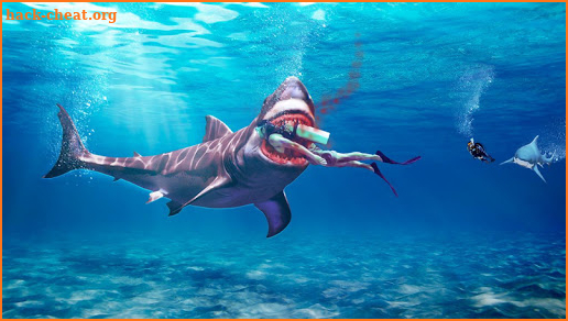 Shark 3D Hunting Games 2018 screenshot