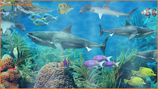 Shark aquarium live wallpaper screenshot