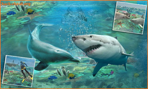 Shark Attack Spear Fishing 3D screenshot