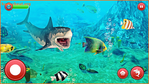 Shark Fishing Hungry Games screenshot