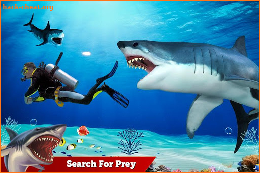 Shark Simulator 2019: Beach & Sea Attack screenshot