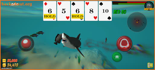 Shark Skill Poker screenshot