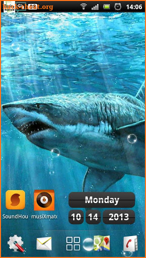 sharks live wallpapers screenshot