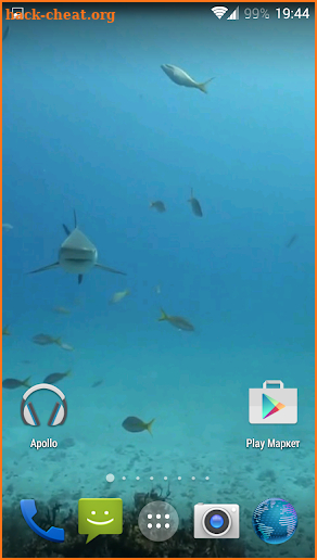 Sharks. Video Wallpaper screenshot