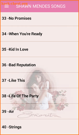 Shawn Mendes Songs Offline ( 40 Songs Senorita ) screenshot
