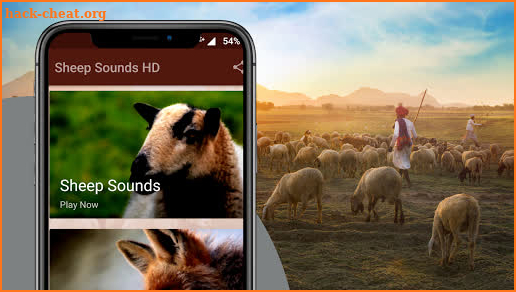 Sheep Sounds screenshot