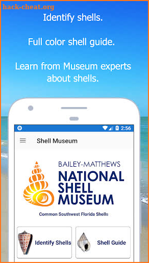 Shell Museum: Identify Shells screenshot