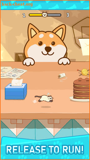 Shiba Escape! Hide and Seek screenshot