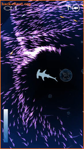 Shoal of fish screenshot