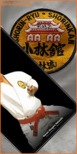 Shorin-Ryu Shorinkan screenshot