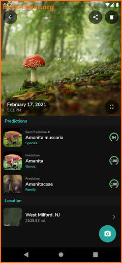 ShroomID - Mushroom Identifier screenshot