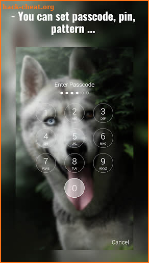 Siberian Husky Lock Screen screenshot