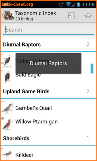 Sibley Birds - Lite screenshot