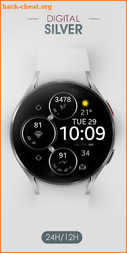 Silver Digital Watch Face screenshot