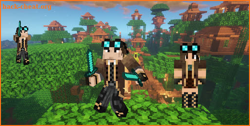 Skin for Minecraft Lyon WGF screenshot