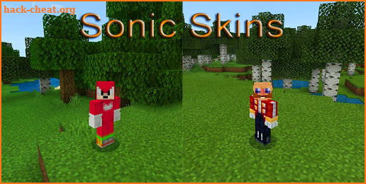 Skins Sonic for Minecraft PE screenshot