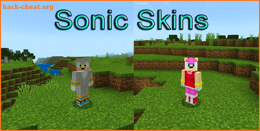 Skins Sonic for Minecraft PE screenshot