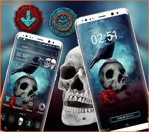 Skull Crow Launcher Theme screenshot