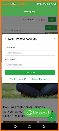 SkyGiggers: Online Freelance Marketplace screenshot