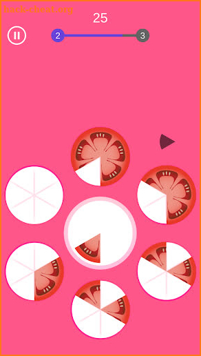 Slices Puzzle DX screenshot