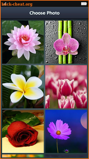 Slide Puzzle - Flowers Sliding screenshot