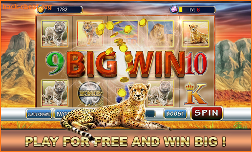 Slot Machine : Wild Cats screenshot