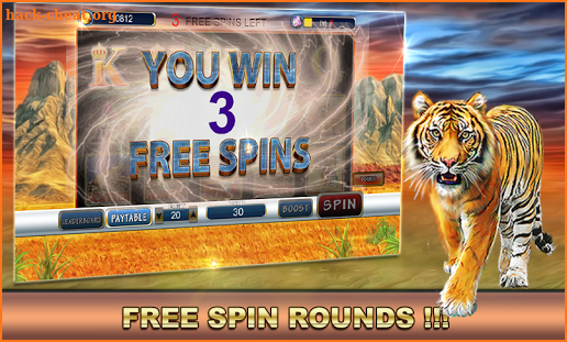 Slot Machine : Wild Cats screenshot