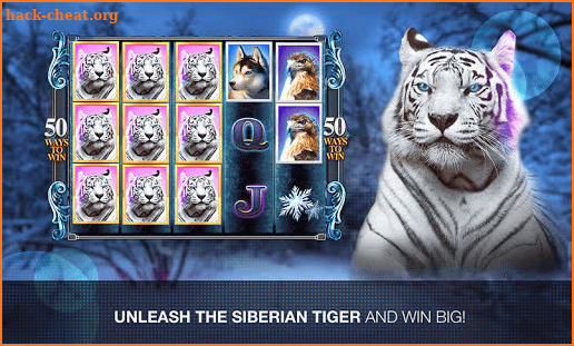 Slots Super Tiger Casino Slots screenshot