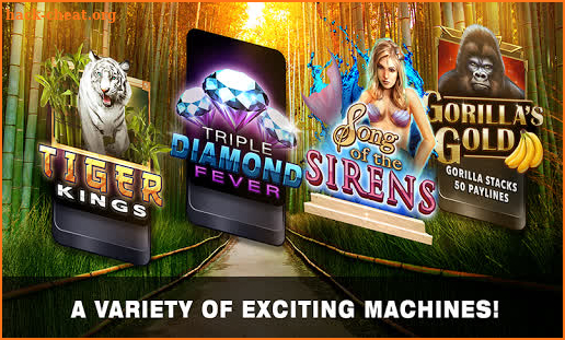 Slots Tiger King Casino Slots screenshot