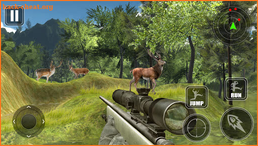 Sniper Animal Hunting 2019 screenshot