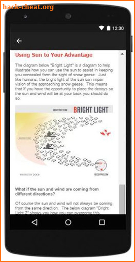 Snow Goose Hunting Diagrams screenshot