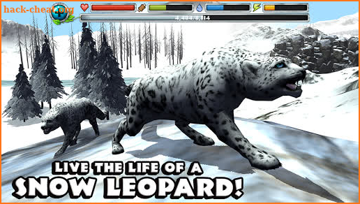 Snow Leopard Simulator screenshot