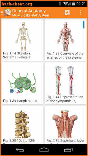 Sobotta Anatomy screenshot