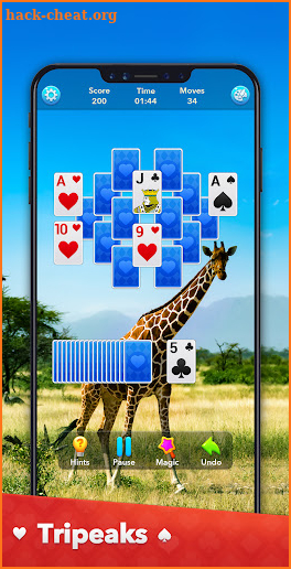 Solitaire Collection screenshot