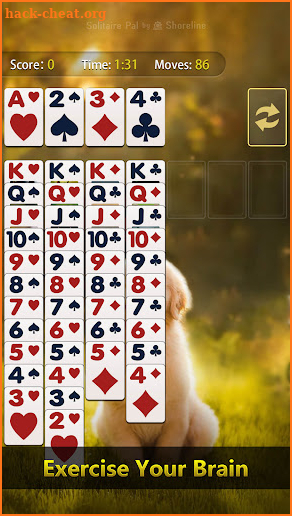 Solitaire Pal: Big Card screenshot