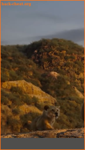 Song SPIRIT The Lion King Beyonce Official Video screenshot