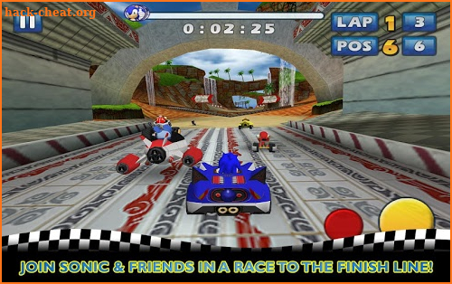 Sonic & SEGA All-Stars Racing screenshot