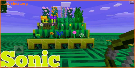 Sonic Craft mod MCPE screenshot