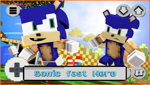 Sonic Fast Craft screenshot