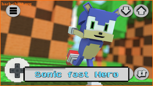 Sonic Fast Craft screenshot