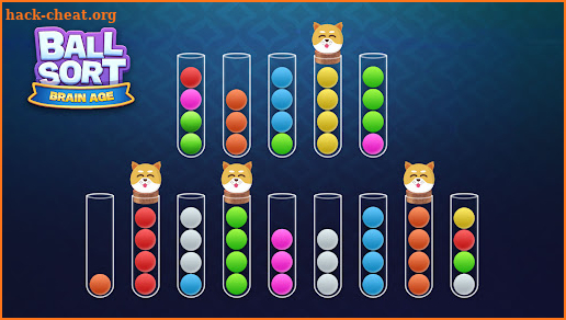 Sort Ball : Brain Age screenshot