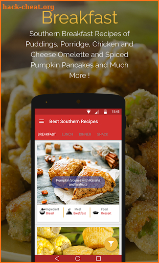 Southern Recipes screenshot