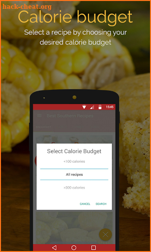Southern Recipes screenshot