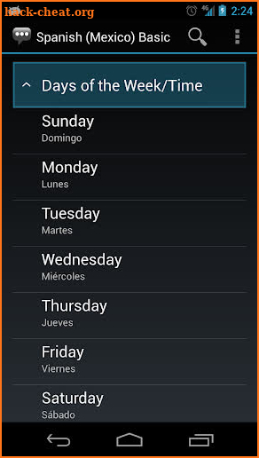 Spanish (Mexico) Basic Phrases screenshot