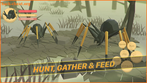 Spider Life - Animal Simulator screenshot