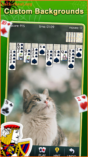 Spider Solitaire screenshot