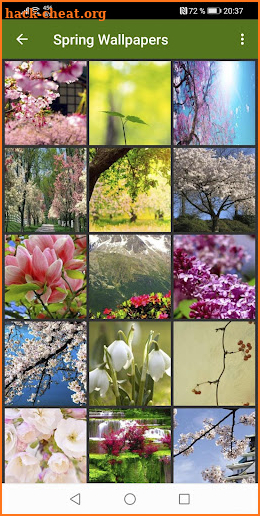 Spring Wallpapers screenshot